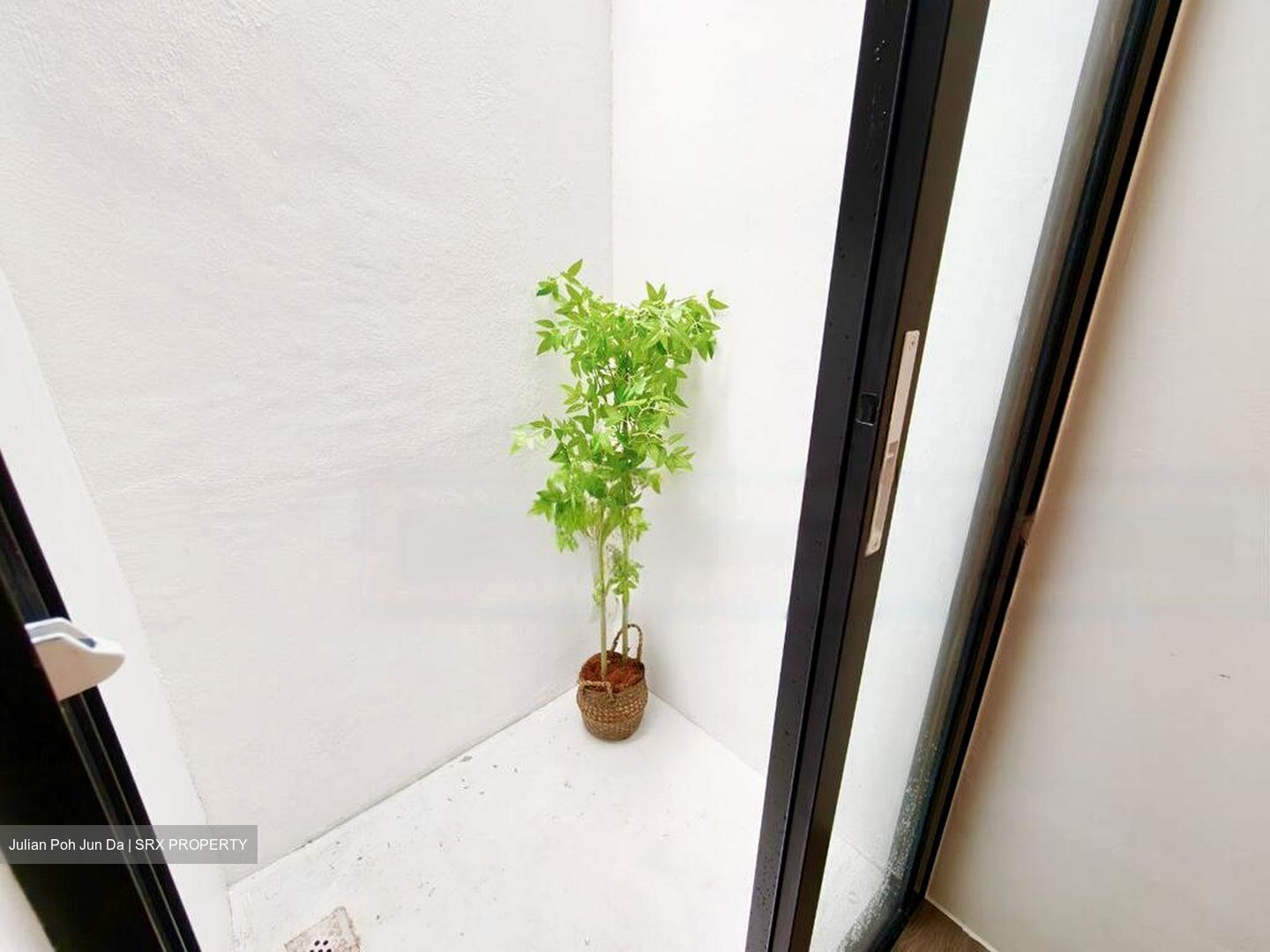 Thomson Park (D20), Terrace #460249541